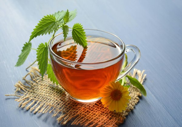 Tisane d'ortie piquante : une infusion naturelle aux multiples bienfaits